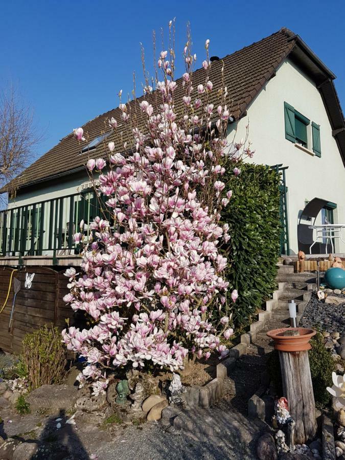 Le Nid Fleuri De Cravanche Zewnętrze zdjęcie